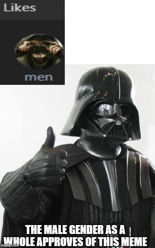 There is a running joke because this guy is called Men so when he likes stuff the entire male population likes it- | THE MALE GENDER AS A WHOLE APPROVES OF THIS MEME | image tagged in darth vader approves,approves | made w/ Imgflip meme maker