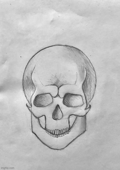 Skull drawing I drew while my family was hunting - Imgflip