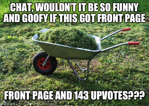Real | CHAT, WOULDN’T IT BE SO FUNNY AND GOOFY IF THIS GOT FRONT PAGE; FRONT PAGE AND 143 UPVOTES??? | image tagged in vegan lawn clippings | made w/ Imgflip meme maker