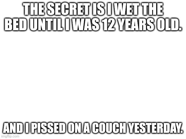 Here's the secret | THE SECRET IS I WET THE BED UNTIL I WAS 12 YEARS OLD. AND I PISSED ON A COUCH YESTERDAY. | image tagged in secret,give it | made w/ Imgflip meme maker