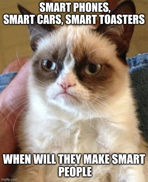 Grumpy Cat | SMART PHONES, SMART CARS, SMART TOASTERS; WHEN WILL THEY MAKE SMART
 PEOPLE | image tagged in memes,grumpy cat,funny,oh wow are you actually reading these tags,stop reading the tags | made w/ Imgflip meme maker