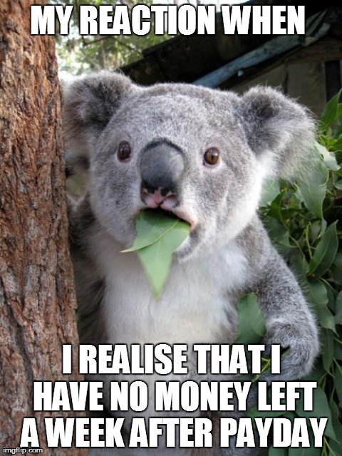 Surprised Koala Meme | MY REACTION WHEN  I REALISE THAT I HAVE NO MONEY LEFT A WEEK AFTER PAYDAY | image tagged in memes,surprised koala | made w/ Imgflip meme maker