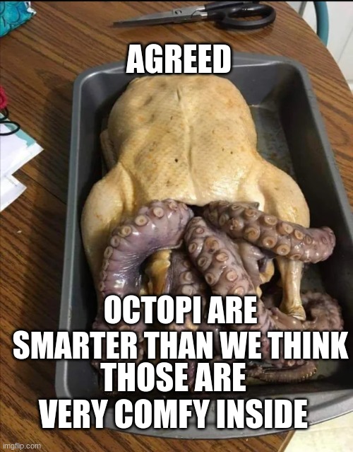AGREED OCTOPI ARE SMARTER THAN WE THINK THOSE ARE VERY COMFY INSIDE | image tagged in meme | made w/ Imgflip meme maker