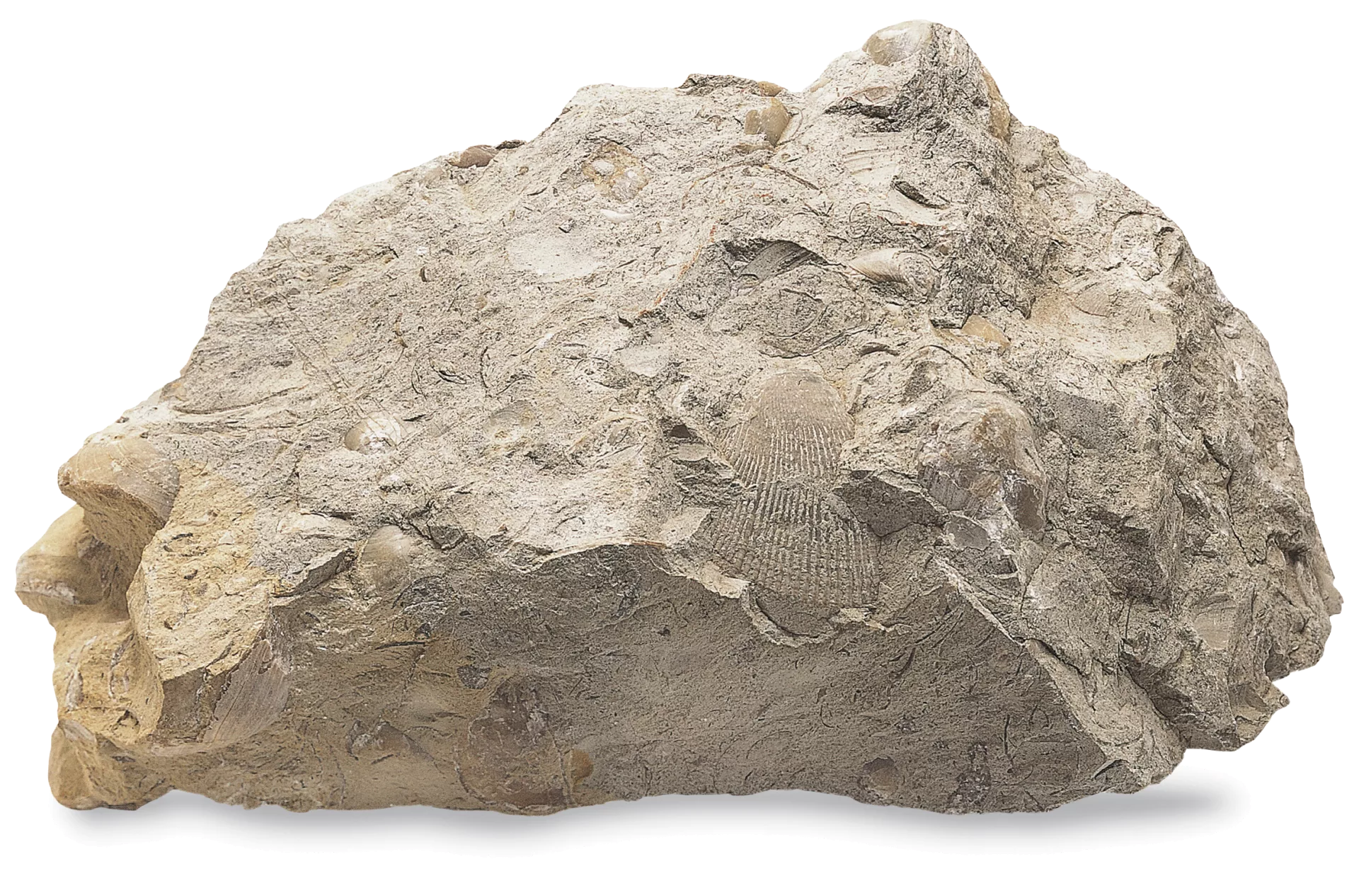 Rock Blank Meme Template