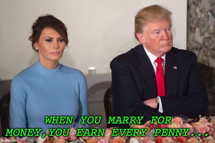 Melania Gold Digger | WHEN YOU MARRY FOR MONEY,YOU EARN EVERY PENNY... | image tagged in donald trump | made w/ Imgflip meme maker