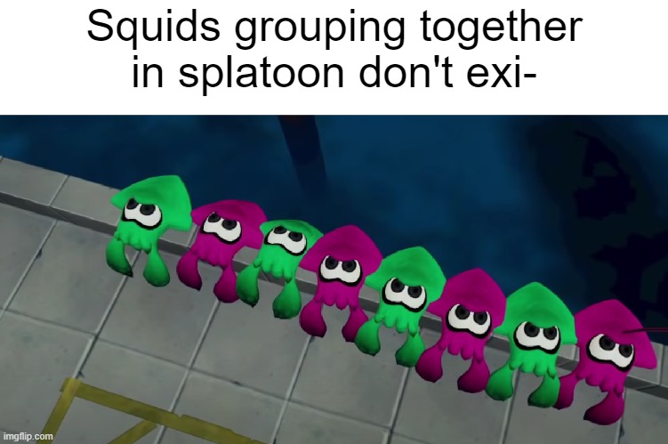 squids | Squids grouping together in splatoon don't exi- | image tagged in squids,squid,cephalopod,splatoon,memes | made w/ Imgflip meme maker
