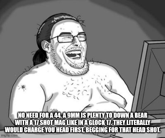 Basement dweller | NO NEED FOR A 44. A 9MM IS PLENTY TO DOWN A BEAR WITH A 17 SHOT MAG LIKE IN A GLOCK 17. THEY LITERALLY WOULD CHARGE YOU HEAD FIRST, BEGGING FOR THAT HEAD SHOT. | image tagged in basement dweller | made w/ Imgflip meme maker