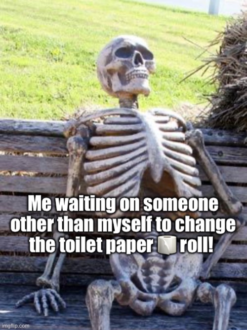 Changing the toilet paper roll | image tagged in changing the toilet paper roll | made w/ Imgflip meme maker