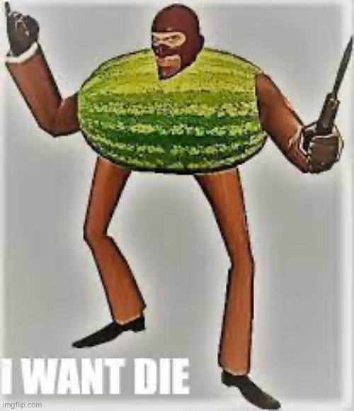 Spy-melon | made w/ Imgflip meme maker