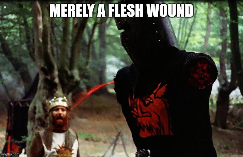 Flesh wound | MERELY A FLESH WOUND | image tagged in monty python black knight | made w/ Imgflip meme maker