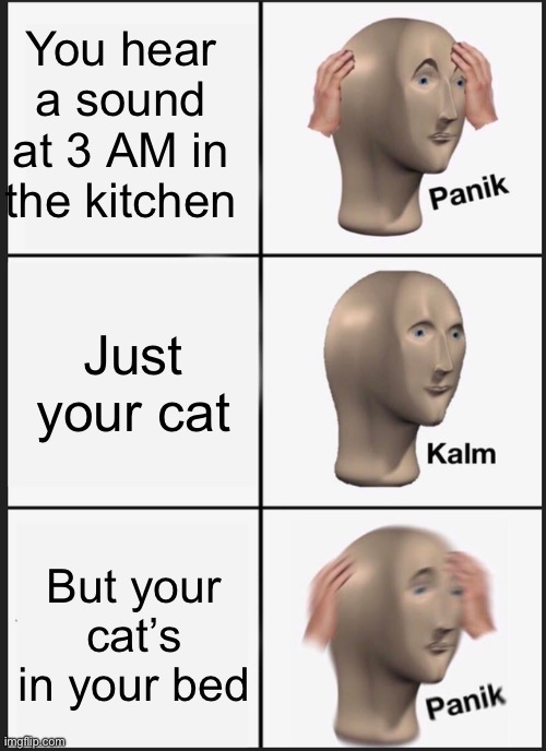 Scary | You hear a sound at 3 AM in the kitchen; Just your cat; But your cat’s in your bed | image tagged in memes,panik kalm panik,cat,scared,demon,ghost | made w/ Imgflip meme maker