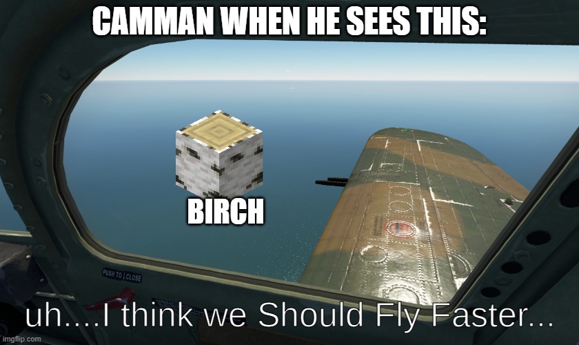 the birch airplane | CAMMAN WHEN HE SEES THIS:; BIRCH | image tagged in uh i think we should fly faster | made w/ Imgflip meme maker