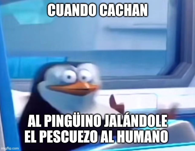 Uh oh | CUANDO CACHAN; AL PINGÜINO JALÁNDOLE EL PESCUEZO AL HUMANO | image tagged in uh oh | made w/ Imgflip meme maker