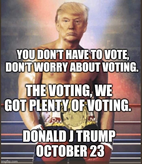 YOU DON’T HAVE TO VOTE, DON’T WORRY ABOUT VOTING. THE VOTING, WE GOT PLENTY OF VOTING. DONALD J TRUMP
 OCTOBER 23 | image tagged in ParlerTrick | made w/ Imgflip meme maker