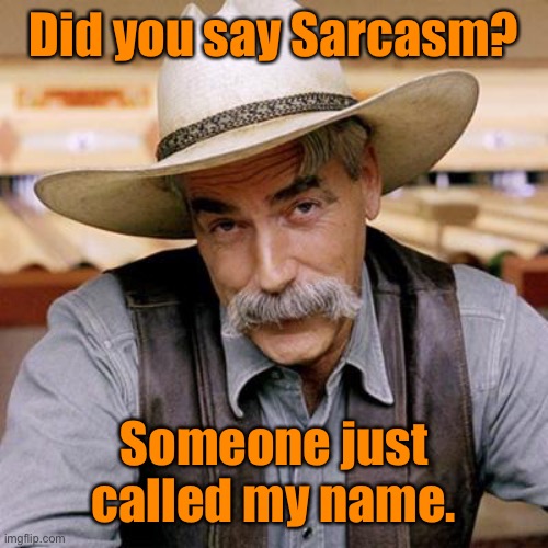 SARCASM COWBOY | Did you say Sarcasm? Someone just called my name. | image tagged in sarcasm cowboy | made w/ Imgflip meme maker