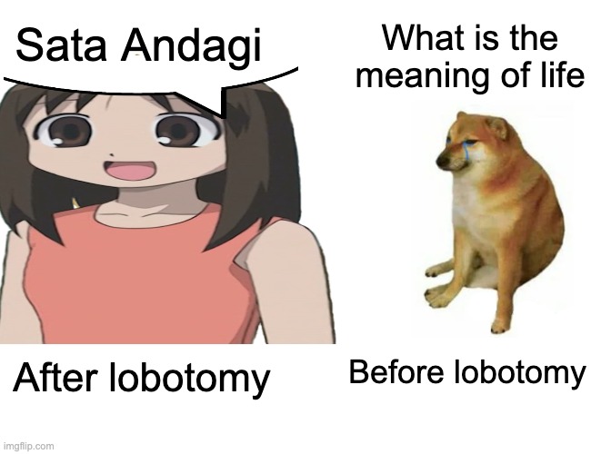 sata andagi | Sata Andagi; What is the meaning of life; Before lobotomy; After lobotomy | image tagged in memes,buff doge vs cheems | made w/ Imgflip meme maker