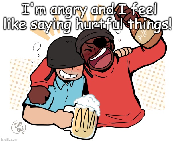 soldier and demo | I'm angry and I feel like saying hurtful things! | image tagged in soldier and demo | made w/ Imgflip meme maker