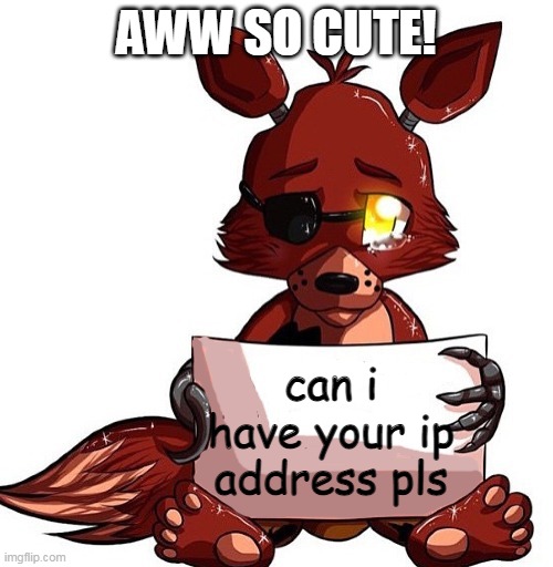 Yo Stalker | AWW SO CUTE! can i have your ip address pls | image tagged in foxy | made w/ Imgflip meme maker