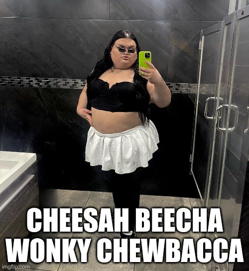 No, seriously - it's a fat joke | CHEESAH BEECHA WONKY CHEWBACCA | image tagged in these are not the memes you're looking for | made w/ Imgflip meme maker