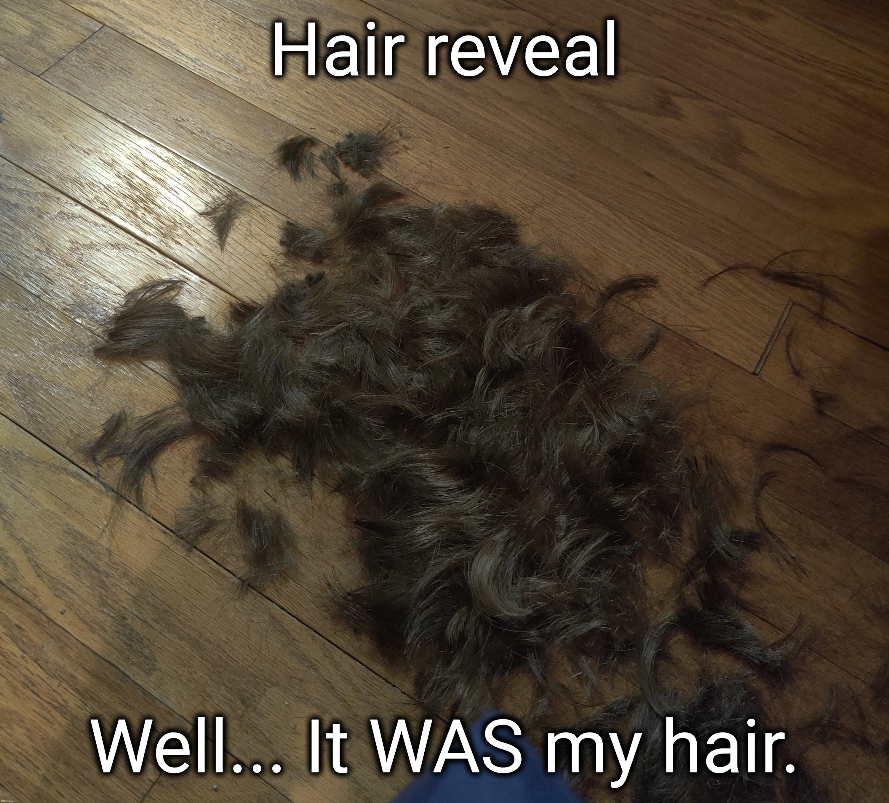It wasn't long, just dense. Idk why I decided to post this lol | Hair reveal; Well... It WAS my hair. | made w/ Imgflip meme maker