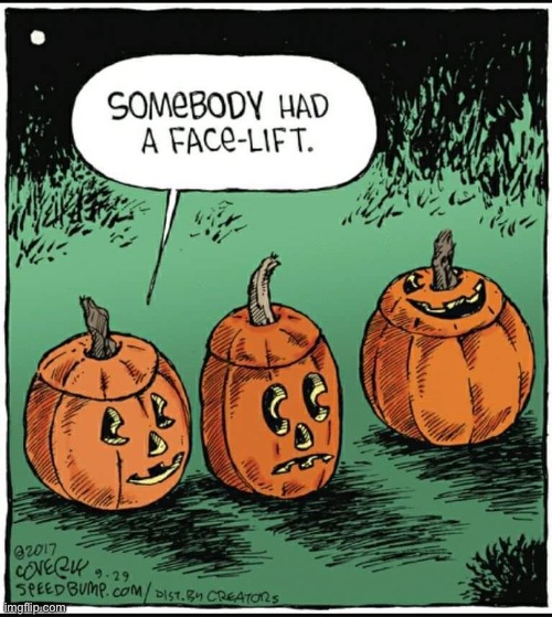 kind of hard to miss lol | image tagged in funny,halloween,pumpkin,face lift | made w/ Imgflip meme maker