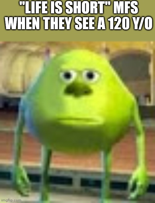 Sully Wazowski | "LIFE IS SHORT" MFS WHEN THEY SEE A 120 Y/O | image tagged in sully wazowski | made w/ Imgflip meme maker