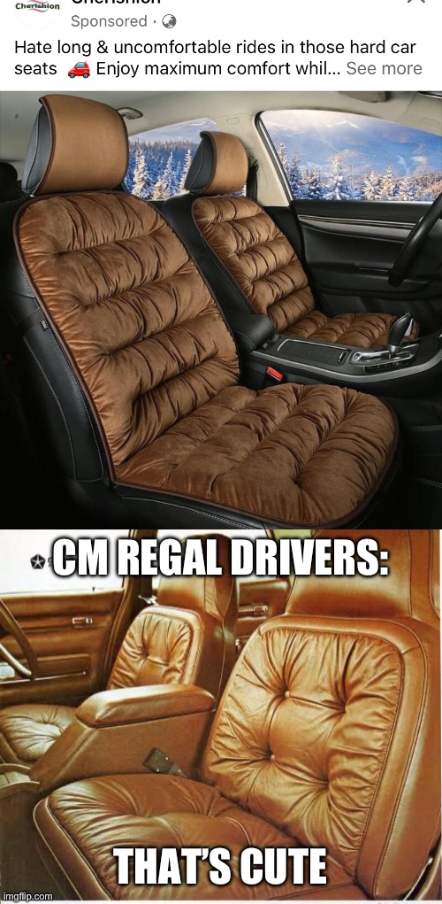 Luxo Barge | CM REGAL DRIVERS:; THAT’S CUTE | image tagged in regal,seat,cars | made w/ Imgflip meme maker