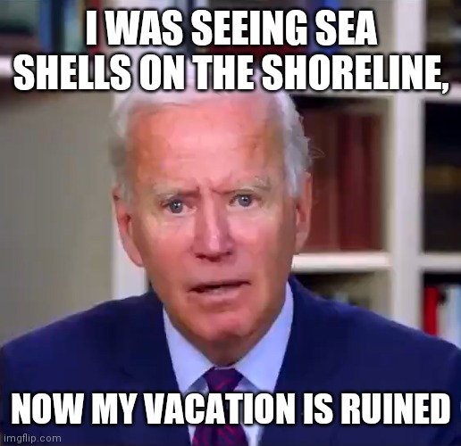 Iran is going to blow up the world | I WAS SEEING SEA SHELLS ON THE SHORELINE, NOW MY VACATION IS RUINED | image tagged in slow joe biden dementia face,and i helped | made w/ Imgflip meme maker