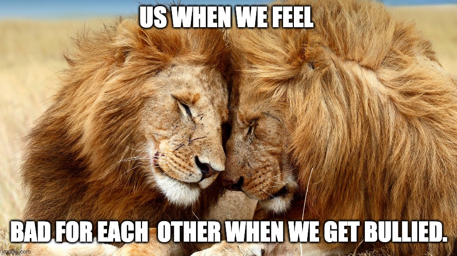 US WHEN WE FEEL; BAD FOR EACH  OTHER WHEN WE GET BULLIED. | made w/ Imgflip meme maker