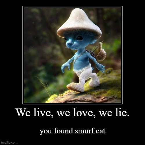 Smurf cat is a cat so I posted him there | We live, we love, we lie. | you found smurf cat | image tagged in funny,demotivationals | made w/ Imgflip demotivational maker