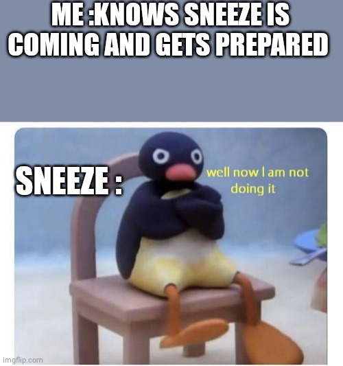 well now I am not doing it | ME :KNOWS SNEEZE IS COMING AND GETS PREPARED; SNEEZE : | image tagged in well now i am not doing it | made w/ Imgflip meme maker