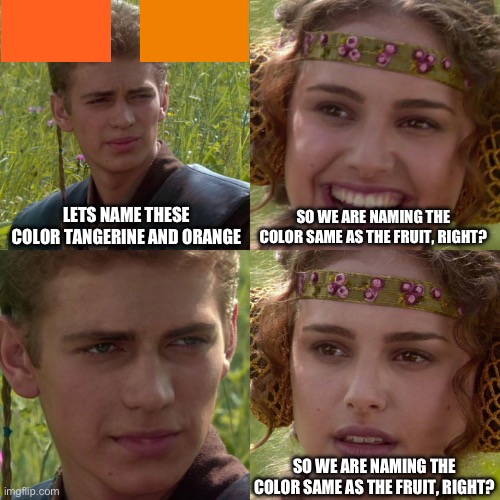 Lets name these color | LETS NAME THESE COLOR TANGERINE AND ORANGE; SO WE ARE NAMING THE COLOR SAME AS THE FRUIT, RIGHT? SO WE ARE NAMING THE COLOR SAME AS THE FRUIT, RIGHT? | image tagged in anakin padme 4 panel,memes | made w/ Imgflip meme maker