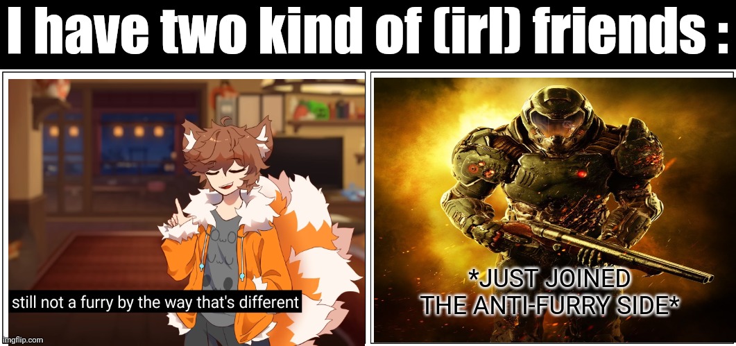 Perfectly balanced | I have two kind of (irl) friends :; *JUST JOINED THE ANTI-FURRY SIDE* | image tagged in memes,blank comic panel 2x1,irl friends,furry,anti furry,funny | made w/ Imgflip meme maker