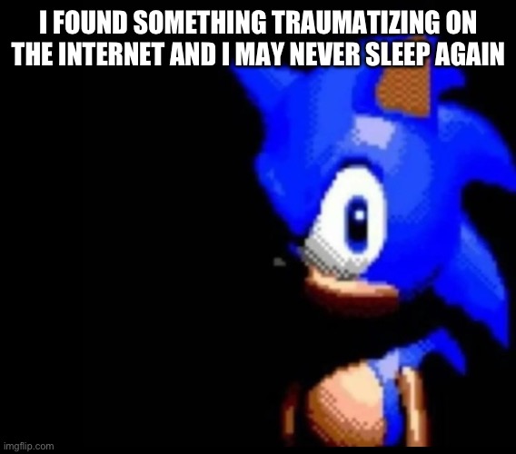 Sonic stares | I FOUND SOMETHING TRAUMATIZING ON THE INTERNET AND I MAY NEVER SLEEP AGAIN | image tagged in sonic stares | made w/ Imgflip meme maker