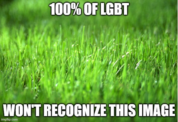 grass is greener | 100% OF LGBT; WON'T RECOGNIZE THIS IMAGE | image tagged in grass is greener | made w/ Imgflip meme maker