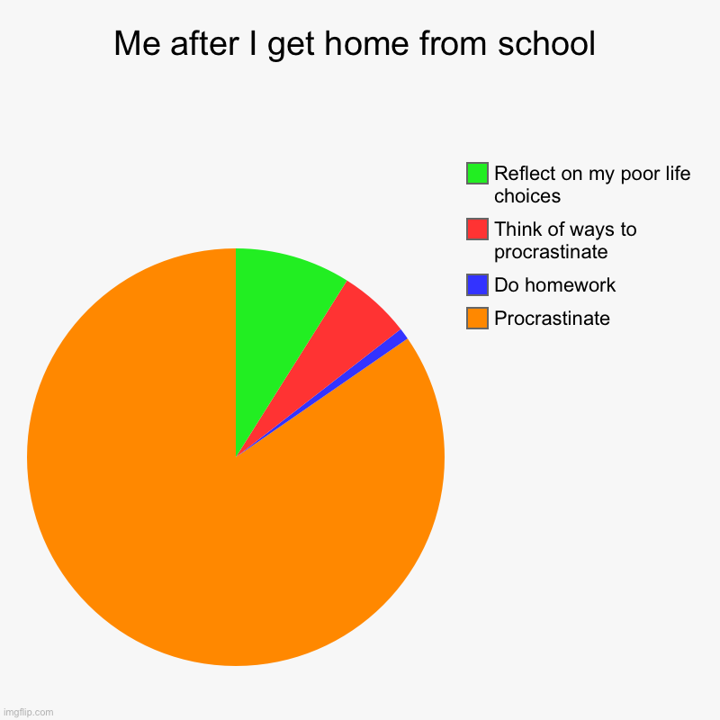 Me when I get home from school | Me after I get home from school | Procrastinate, Do homework , Think of ways to procrastinate , Reflect on my poor life choices | image tagged in charts,pie charts | made w/ Imgflip chart maker