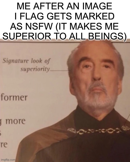 it makes me feel special ? | ME AFTER AN IMAGE I FLAG GETS MARKED AS NSFW (IT MAKES ME SUPERIOR TO ALL BEINGS) | image tagged in signature look of superiority | made w/ Imgflip meme maker