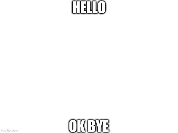 HELLO; OK BYE | image tagged in memes | made w/ Imgflip meme maker