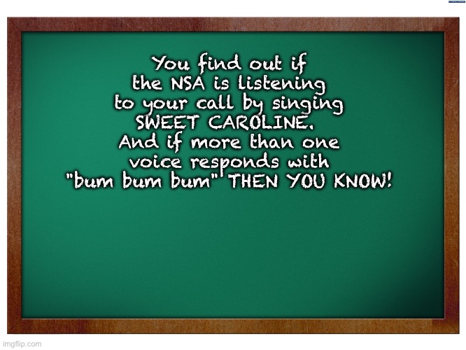Bum | You find out if the NSA is listening to your call by singing SWEET CAROLINE.  And if more than one voice responds with "bum bum bum" THEN YOU KNOW! | image tagged in green blank blackboard | made w/ Imgflip meme maker