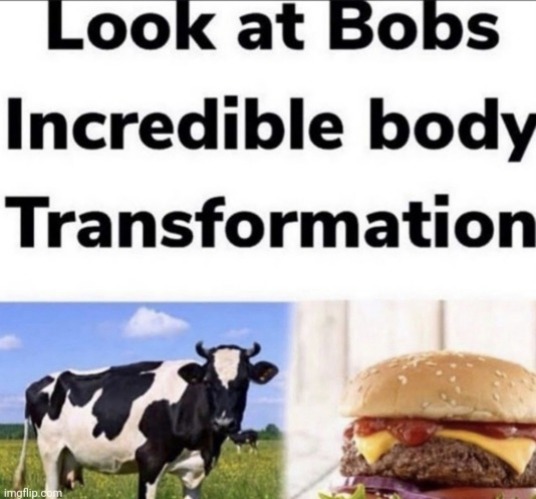 image tagged in memes,funny,dark humor | made w/ Imgflip meme maker