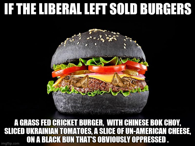 Mc Demalds | IF THE LIBERAL LEFT SOLD BURGERS; A GRASS FED CRICKET BURGER,  WITH CHINESE BOK CHOY,
SLICED UKRAINIAN TOMATOES, A SLICE OF UN-AMERICAN CHEESE,
ON A BLACK BUN THAT'S OBVIOUSLY OPPRESSED . | image tagged in memes,burgers,democrats,liberals,fast food,political meme | made w/ Imgflip meme maker