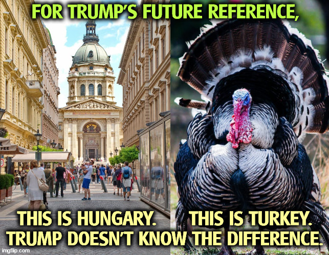 Trump is old and confused. | FOR TRUMP'S FUTURE REFERENCE, THIS IS HUNGARY.      THIS IS TURKEY.
TRUMP DOESN'T KNOW THE DIFFERENCE. | image tagged in trump,hungary,turkey,ignorant,incompetence | made w/ Imgflip meme maker