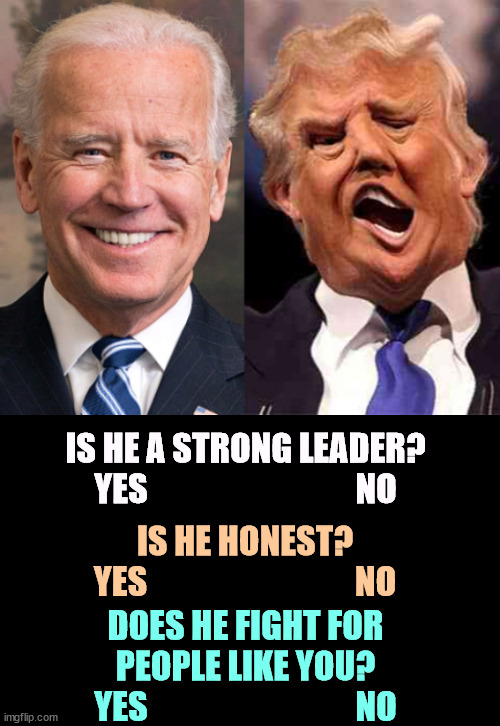 Trump wins on volume level, Biden on everything else. | IS HE A STRONG LEADER?
YES                               NO; IS HE HONEST?
YES                               NO; DOES HE FIGHT FOR PEOPLE LIKE YOU?
YES                               NO | image tagged in biden solid stable trump acid drugs,biden,strong,smart,trump,none | made w/ Imgflip meme maker