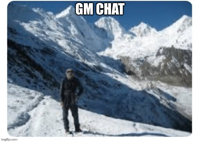 4 pixels | GM CHAT | image tagged in 4 pixels | made w/ Imgflip meme maker