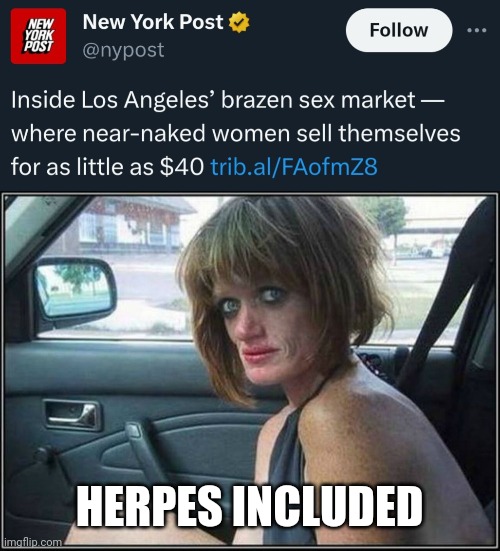 Std ville. | HERPES INCLUDED | image tagged in ugly meth heroin addict prostitute hoe in car | made w/ Imgflip meme maker