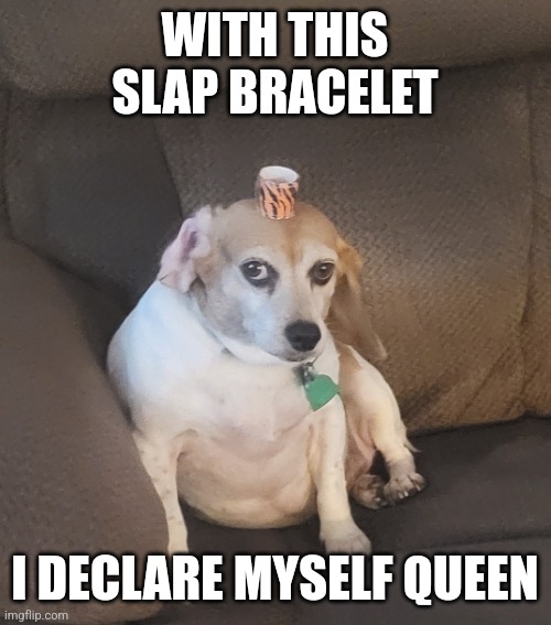 The Derp | WITH THIS SLAP BRACELET; I DECLARE MYSELF QUEEN | image tagged in the derp | made w/ Imgflip meme maker