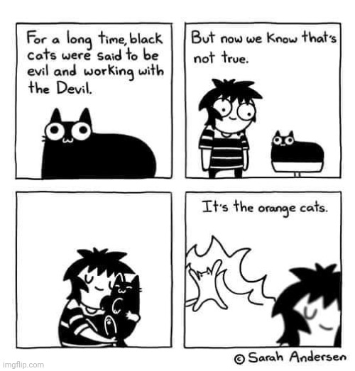 OR IT'S JUST ALL OF THEM | image tagged in cats,comics/cartoons | made w/ Imgflip meme maker