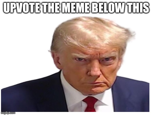 UPVOTE THE MEME BELOW THIS | image tagged in memes | made w/ Imgflip meme maker