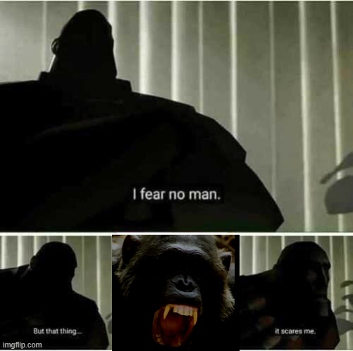I fear no man | image tagged in i fear no man,memes,funny,funny memes | made w/ Imgflip meme maker