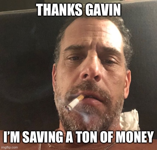 Hunter Biden | THANKS GAVIN I’M SAVING A TON OF MONEY | image tagged in hunter biden | made w/ Imgflip meme maker